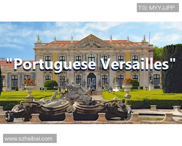 克卢什皇家体育与葡国民激战正酣比赛结果揭晓精彩瞬间回顾